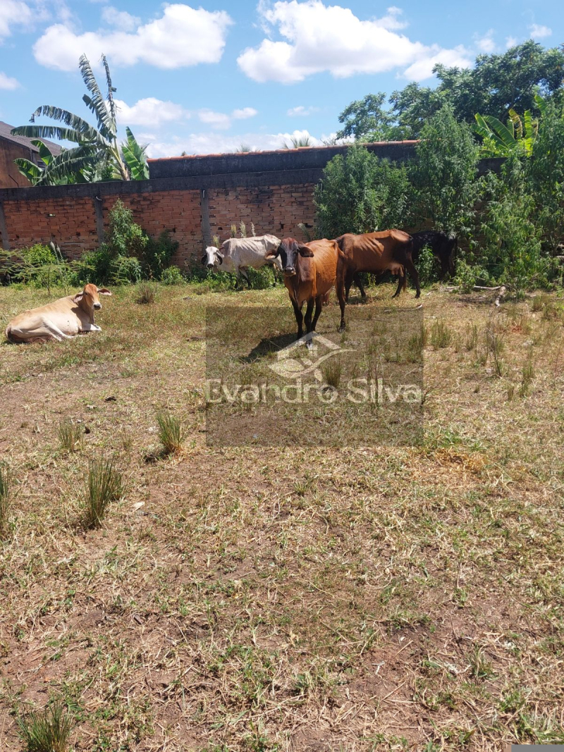Esquina com Rua Floriano Peixoto - Porto Real/RJ