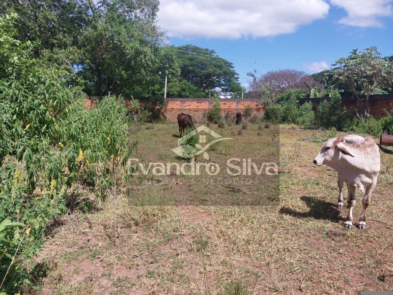 Esquina com Edmardo Torres - Porto Real/RJ